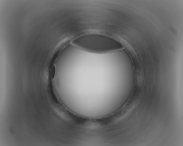 X0000115490207200911061009