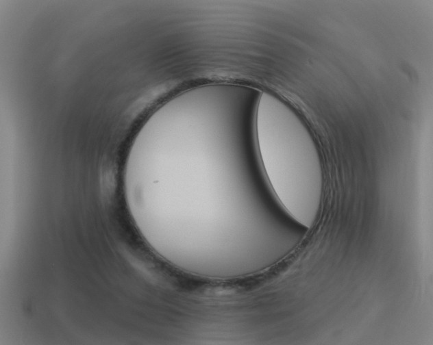 X0000115490208200911061009