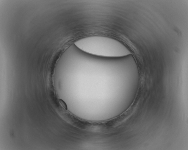 X0000115490209200911061009