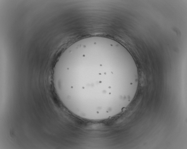 X0000115490210200911061009