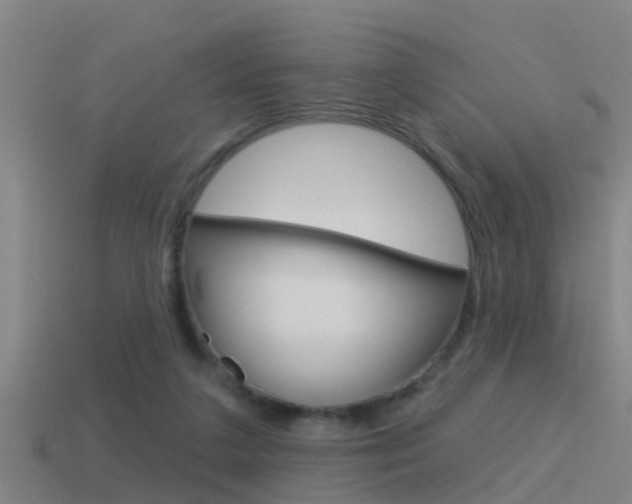 X0000115490211200911061008