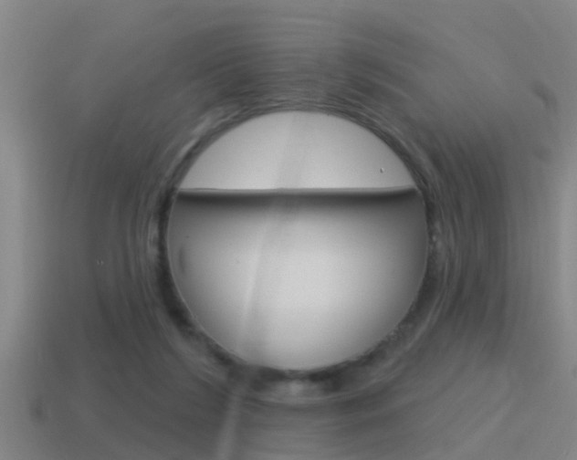 X0000115490212200911061008