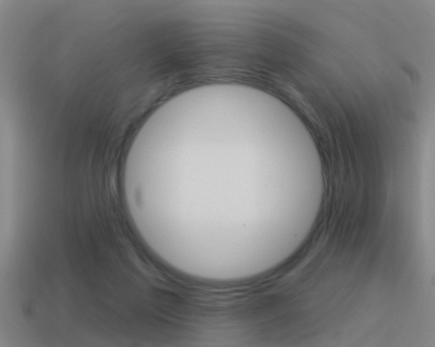 X0000115490213200911061008