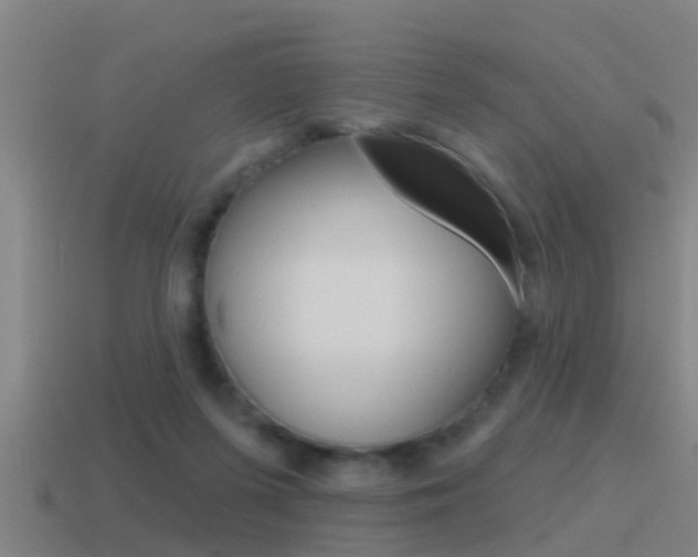 X0000115490215200911061008