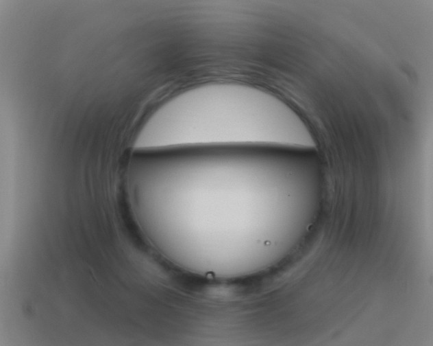 X0000115490216200911061008