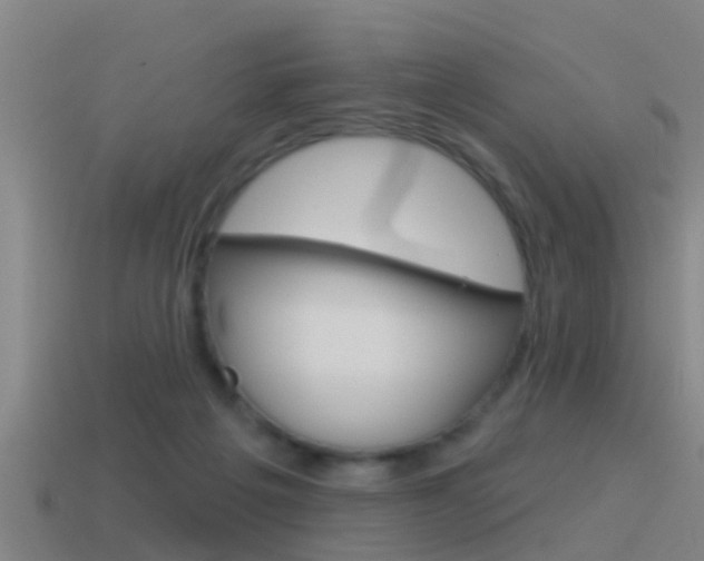 X0000115490217200911061008