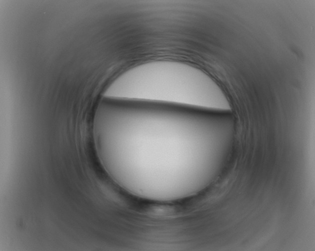 X0000115490220200911061008