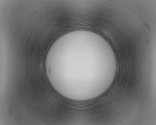 X0000115490221200911061008