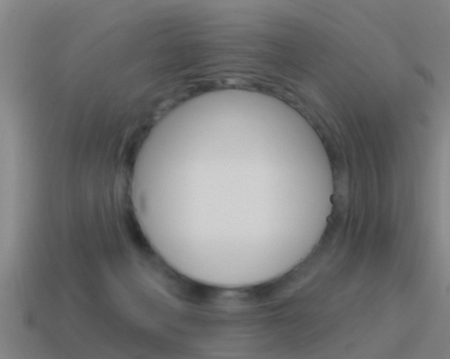 X0000115490222200911061008