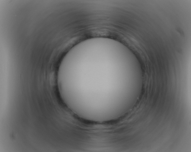 X0000115490224200911061008