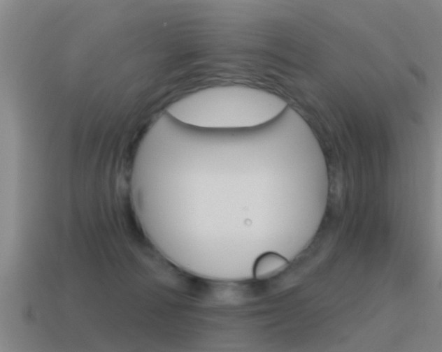 X0000115490226200911061008