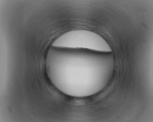 X0000115490228200911061008