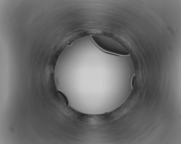 X0000115490229200911061008