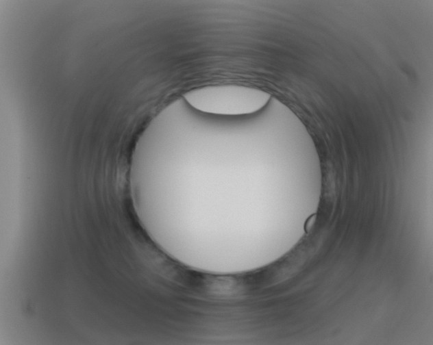 X0000115490230200911061008
