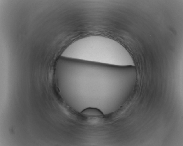 X0000115490231200911061008