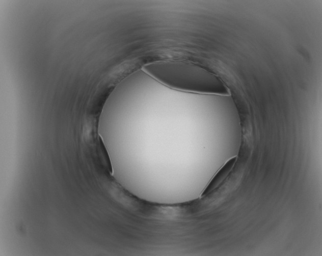 X0000115490233200911061008