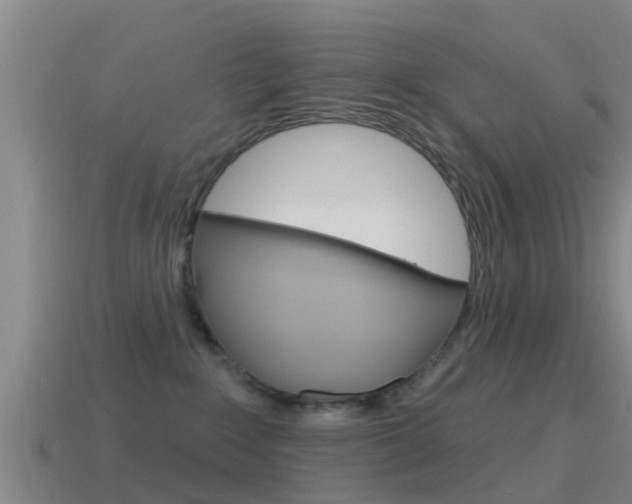 X0000115490235200911061008
