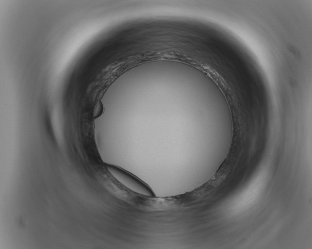 X0000115490239200911061008