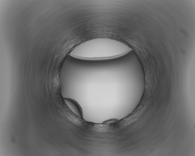 X0000115490240200911061008