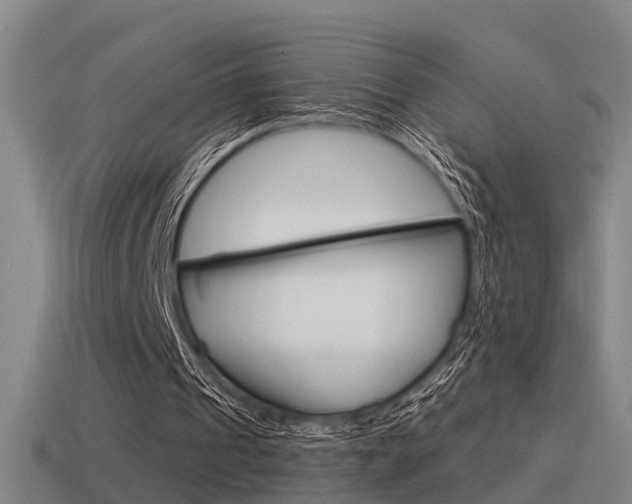 X0000115490241200911061008