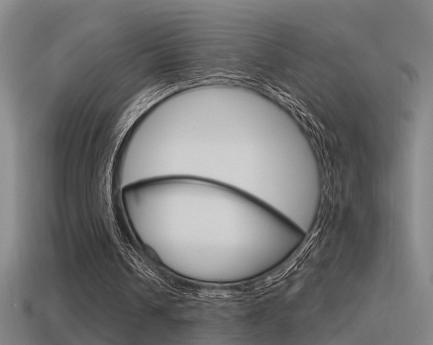 X0000115490242200911061008