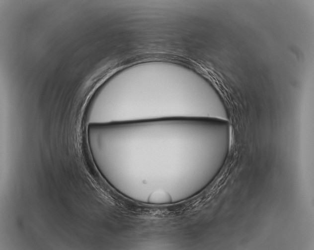 X0000115490243200911061008