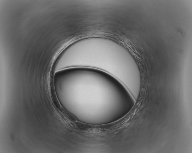 X0000115490244200911061008