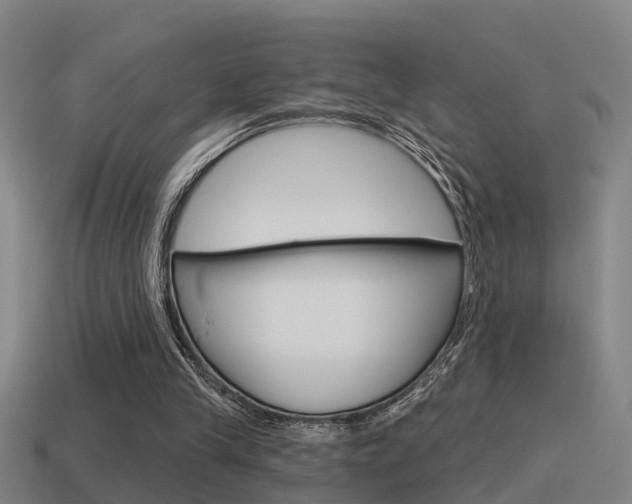 X0000115490245200911061008