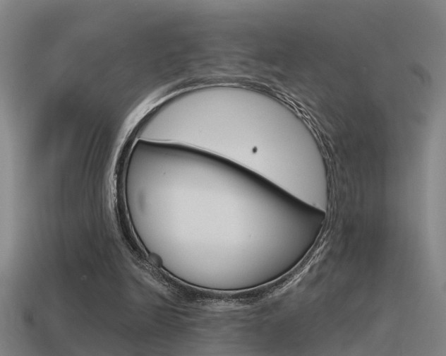 X0000115490246200911061008