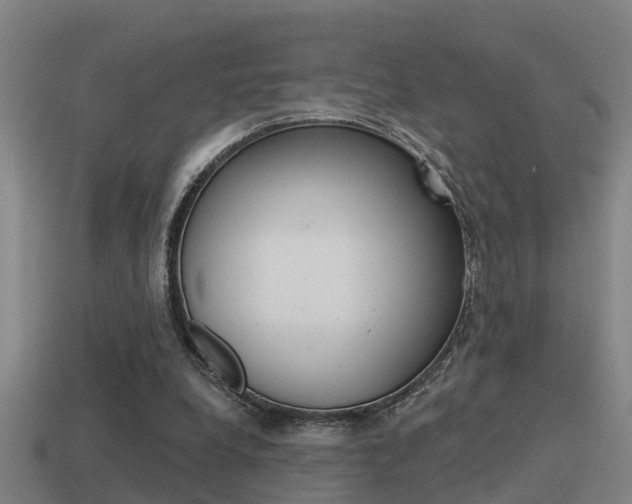 X0000115490248200911061008