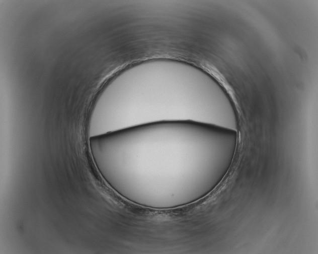 X0000115490249200911061008