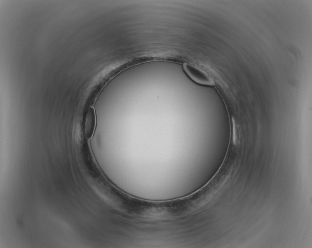 X0000115490252200911061008