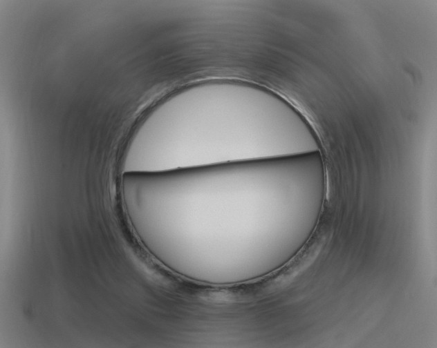 X0000115490253200911061008