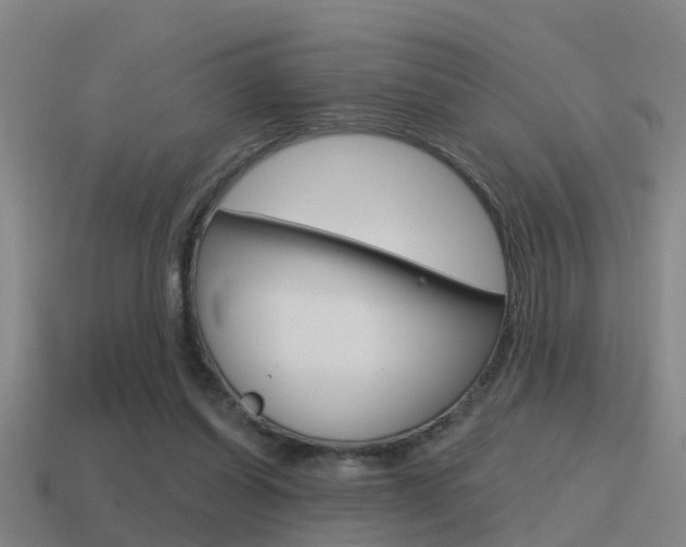 X0000115490254200911061008