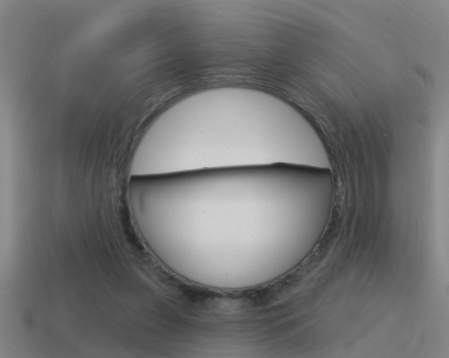 X0000115490255200911061008