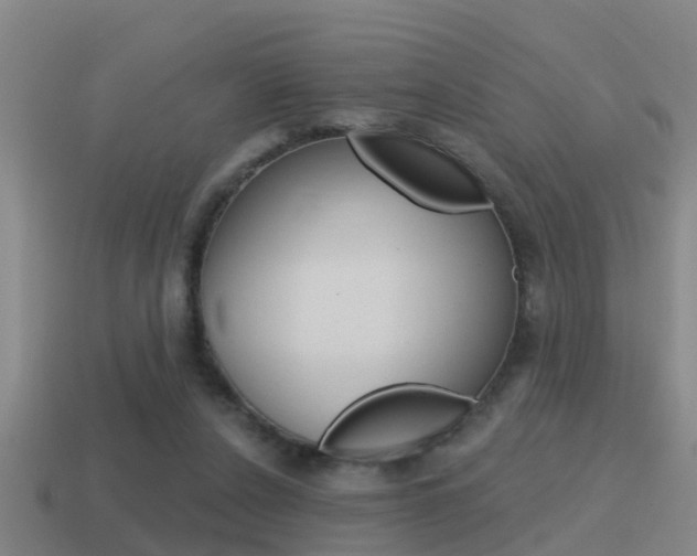 X0000115490256200911061008