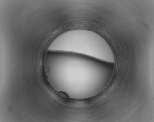 X0000115490260200911061008