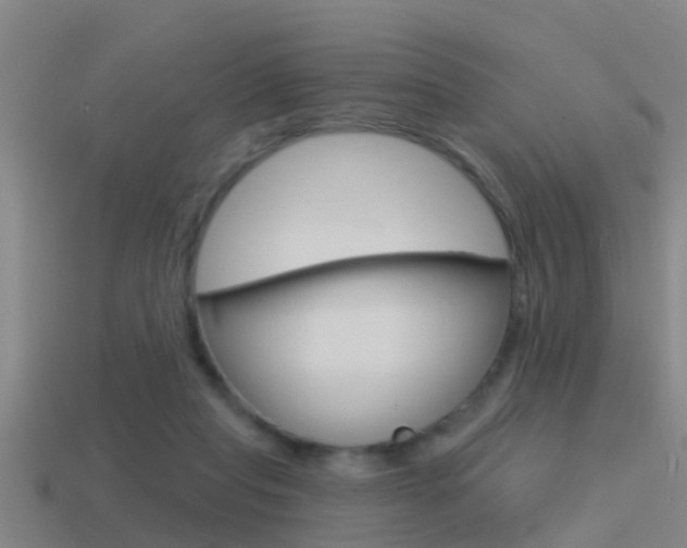 X0000115490261200911061008