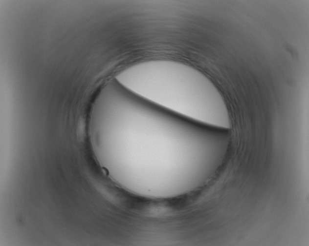 X0000115490262200911061008