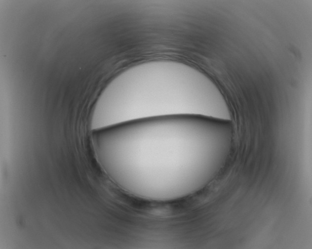X0000115490263200911061008