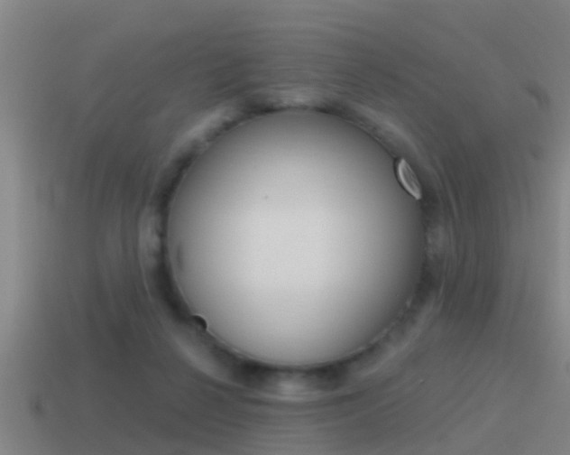 X0000115490264200911061008