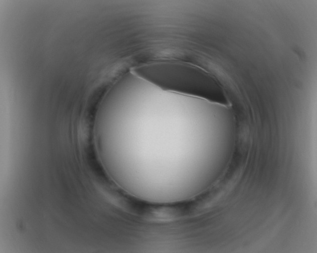 X0000115490268200911061008