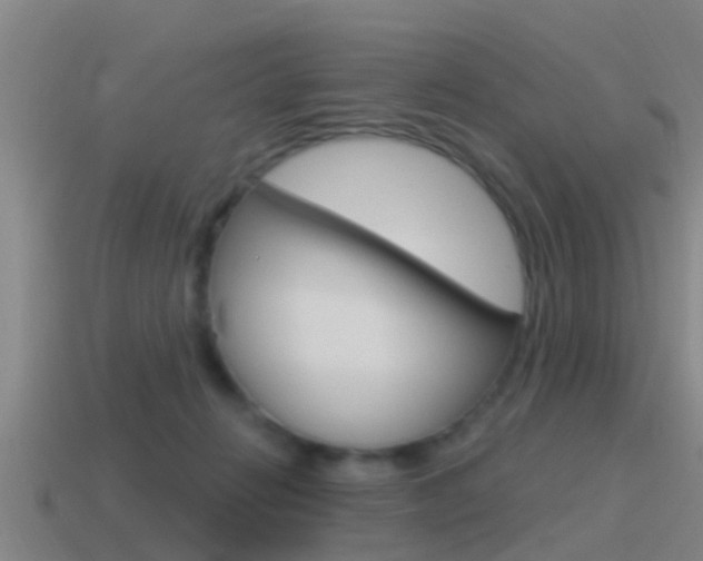 X0000115490270200911061008