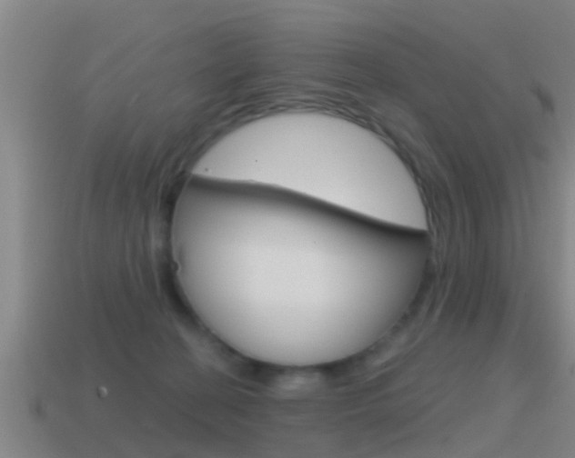 X0000115490274200911061008