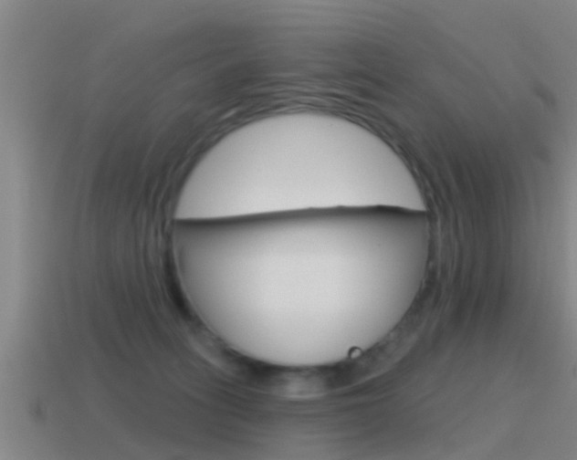 X0000115490275200911061008