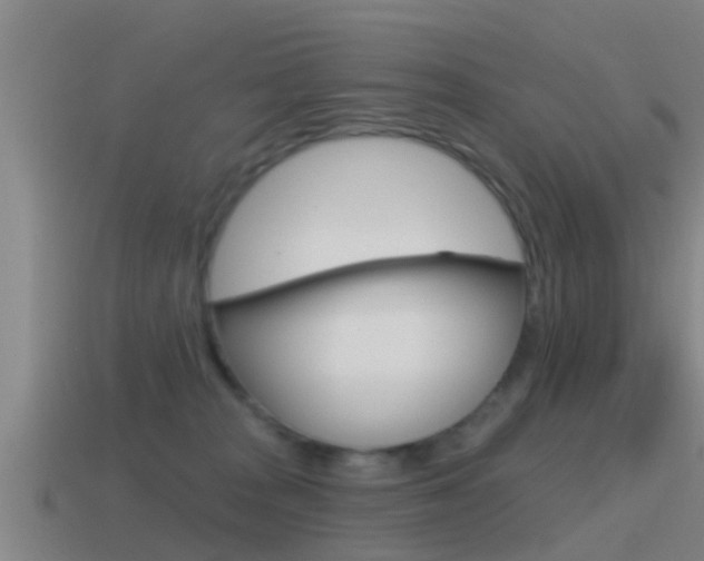 X0000115490277200911061008