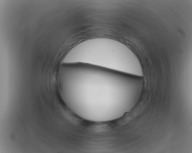 X0000115490278200911061008