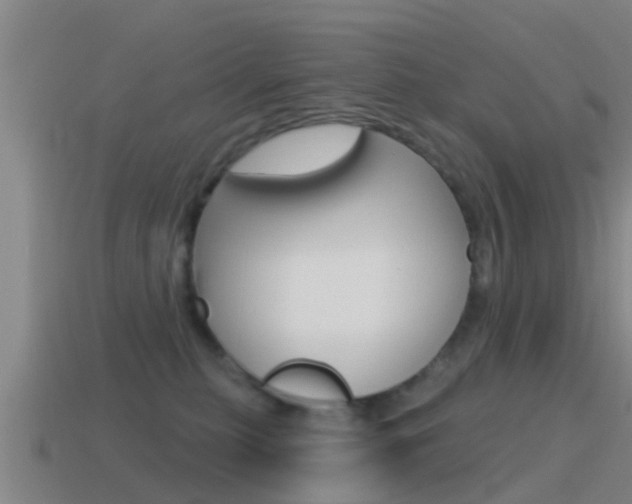 X0000115490279200911061008