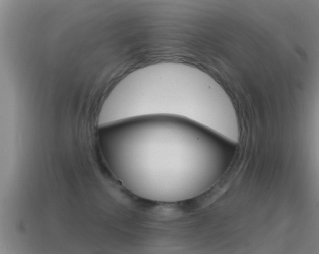 X0000115490280200911061008
