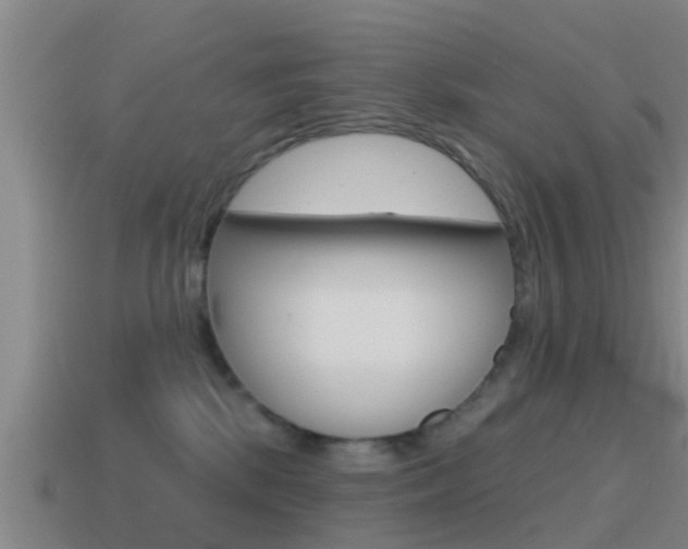X0000115490281200911061008